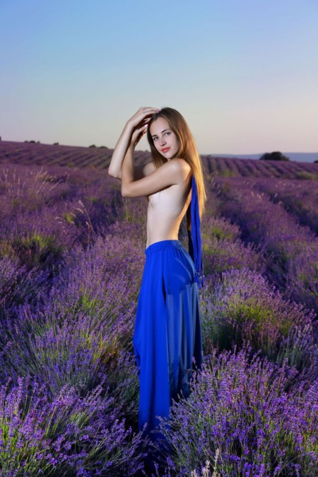 Lavender Love
