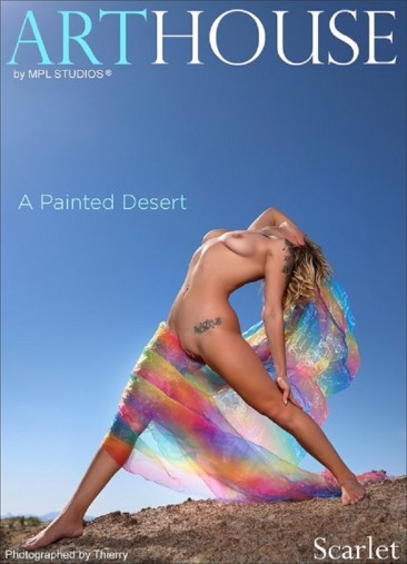 A Painted Desert