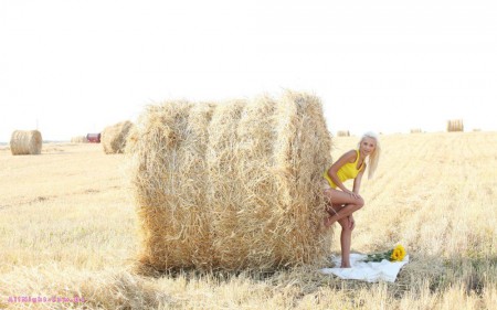 Vika D Near hay